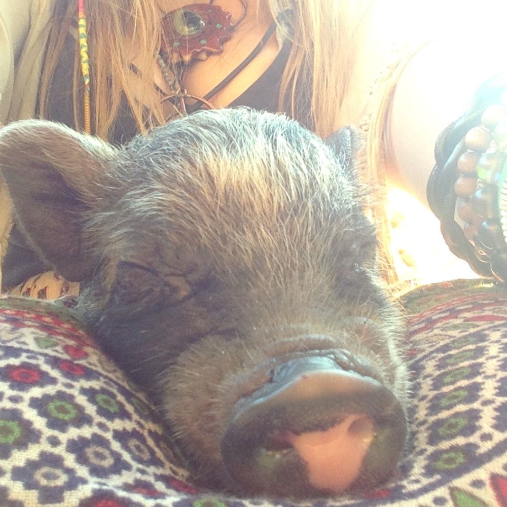 MAKE OFFERS :-)!!!!!